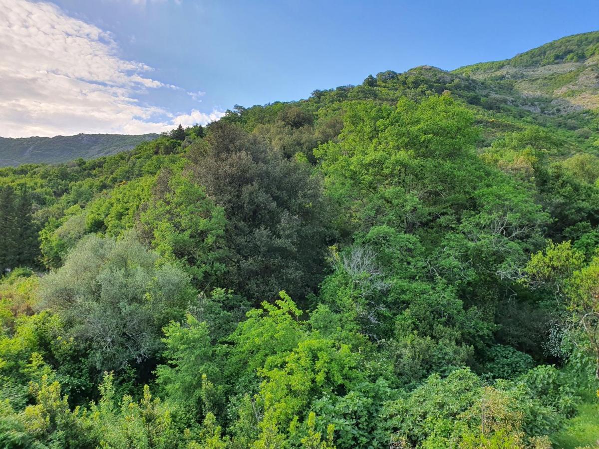 Apartment Bijelavista Herceg Novi Bilik gambar